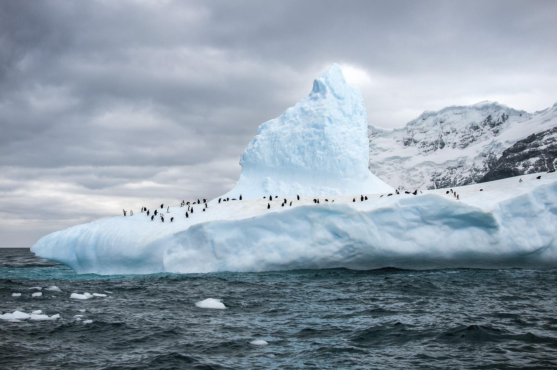 Antarktik – Bez greške, jednom u životu