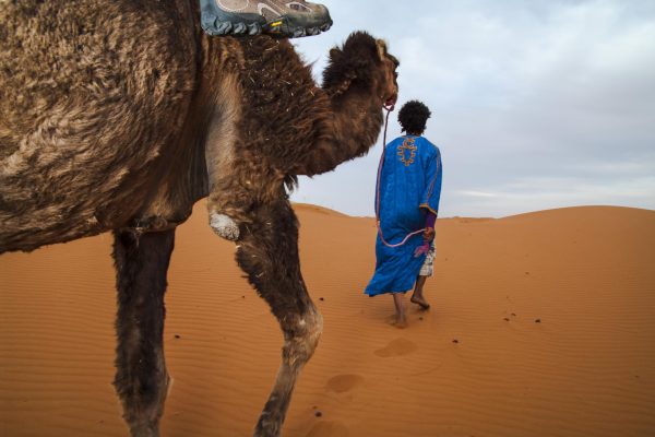Morocco Sahara Desert Camel Guide